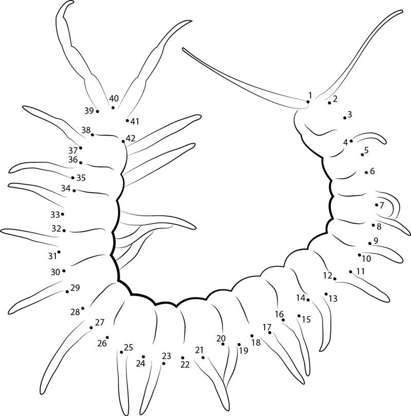 Red Centipede printable dot to dot worksheet