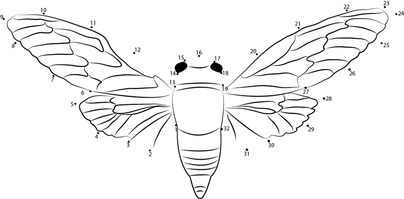 Cicada printable dot to dot worksheet