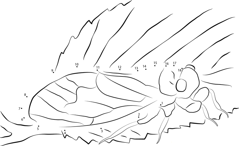 Cicada In The Early Spring printable dot to dot worksheet