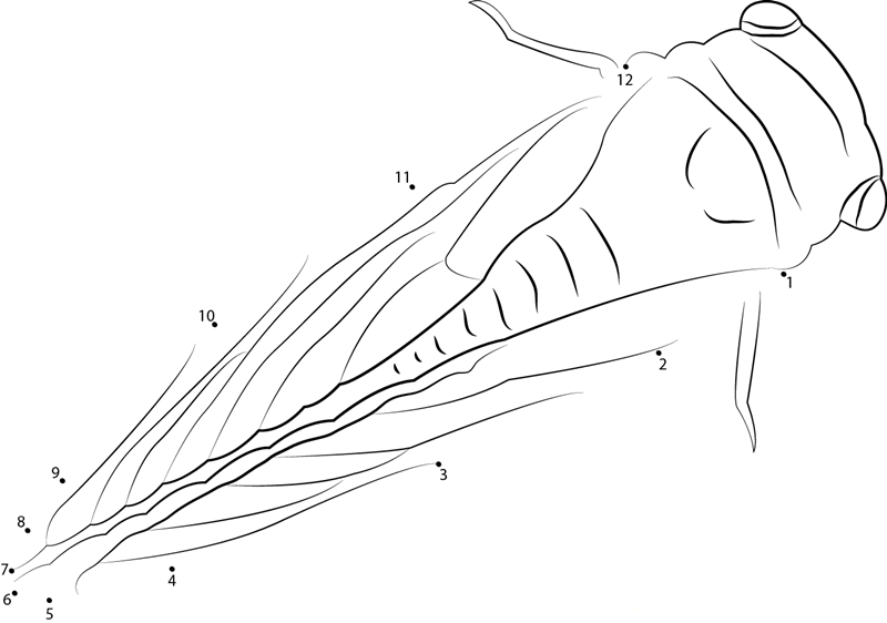 Cicada Up Look printable dot to dot worksheet