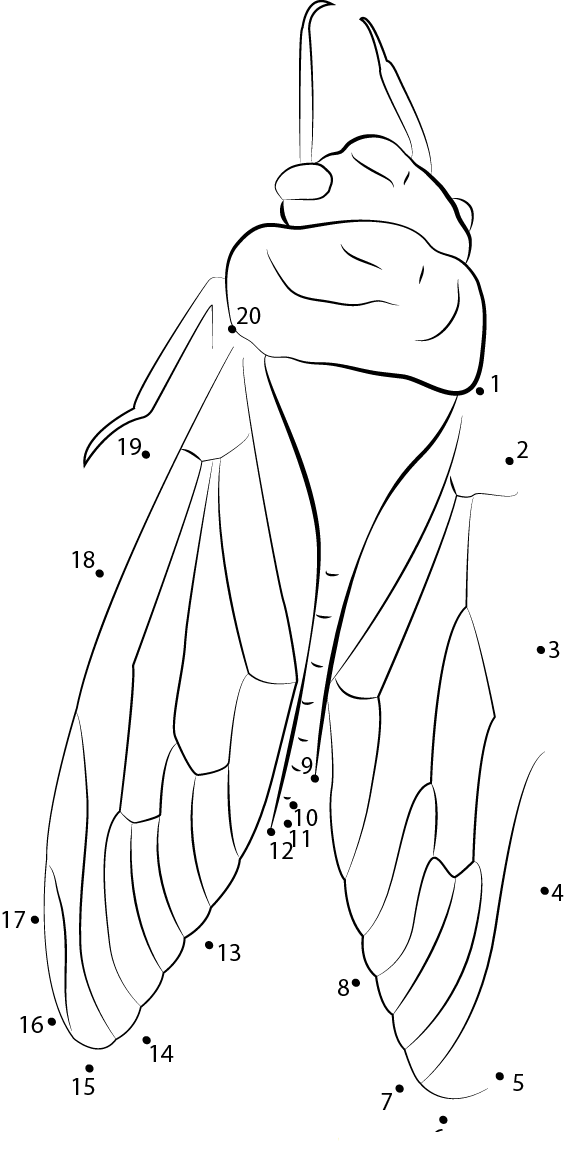 Green Grocer Cicada printable dot to dot worksheet