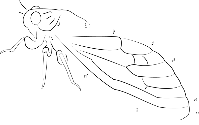 Insects Cicada printable dot to dot worksheet