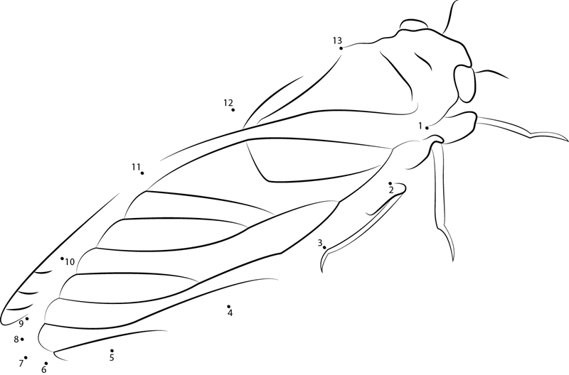 Periodical Cicada printable dot to dot worksheet