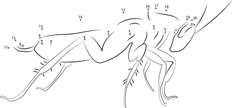 Brownbanded Cockroach printable dot to dot worksheet