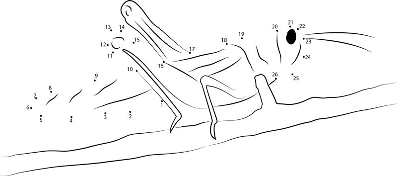 Cricket Insect In India printable dot to dot worksheet