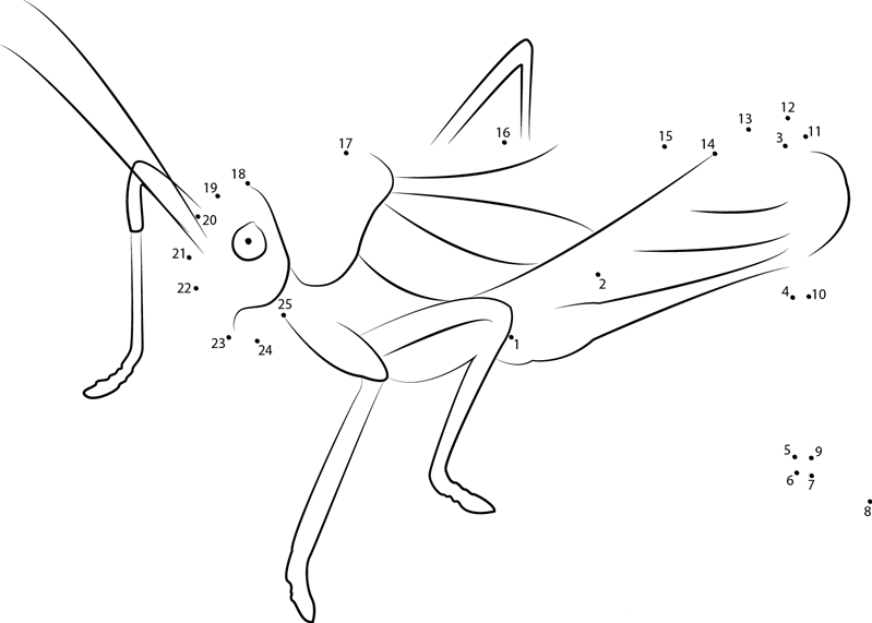 Cricket On Leaf printable dot to dot worksheet