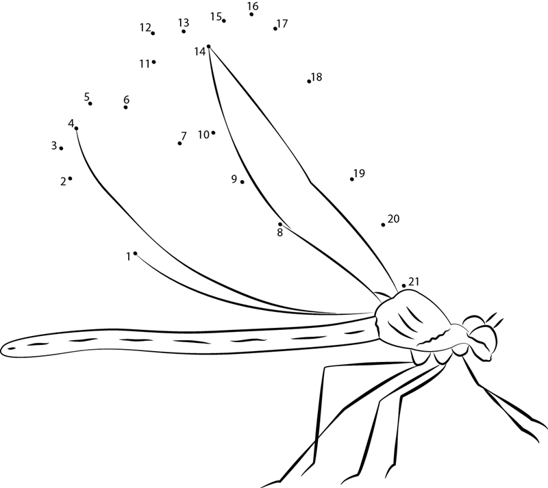 Beautiful Damselfly dot to dot worksheets