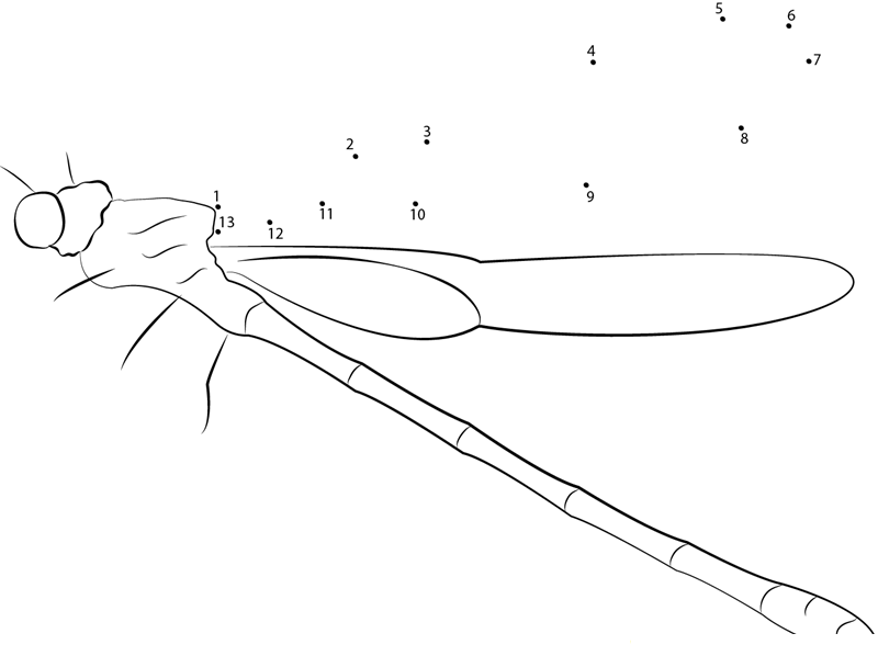 Blue Tailed Damselfly printable dot to dot worksheet