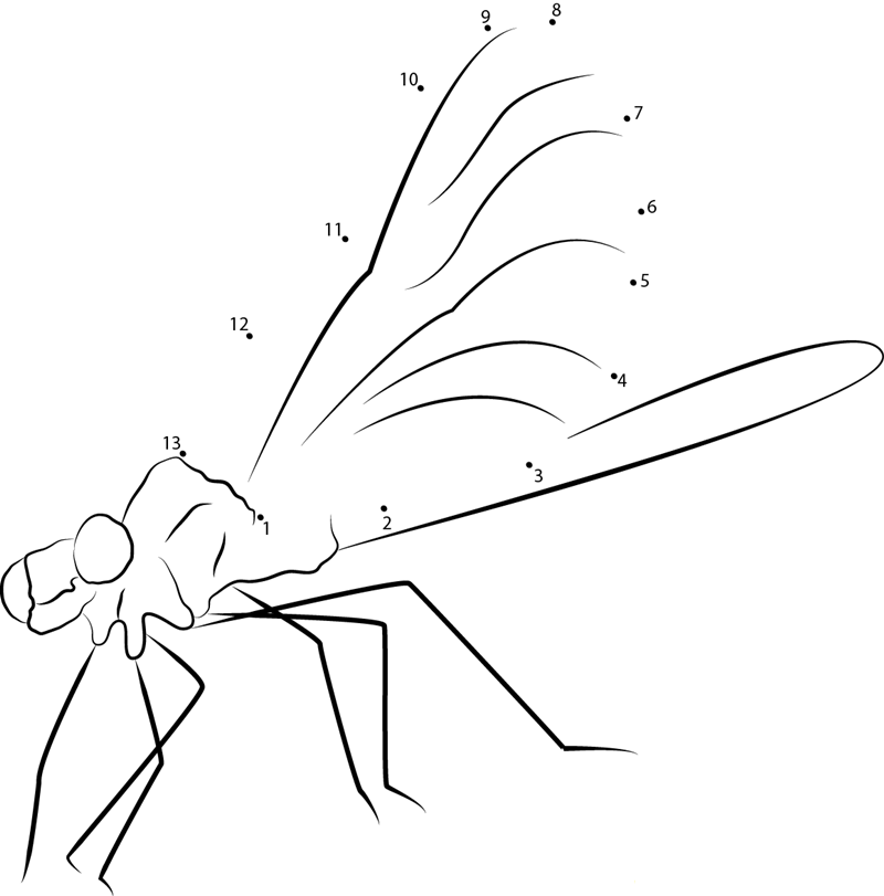 Damselfly Male In Flight dot to dot worksheets