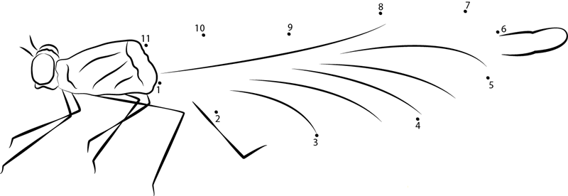 Demoiselle dot to dot worksheets