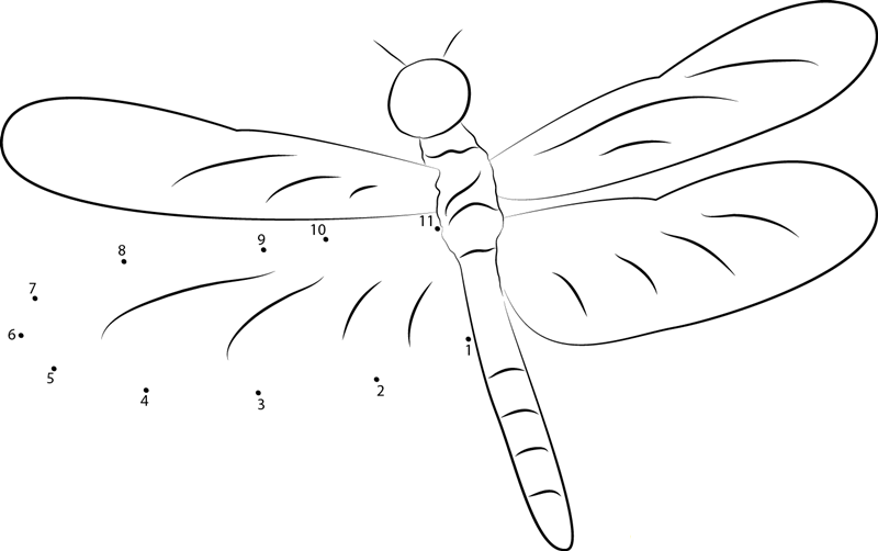 Dragonfly dot to dot worksheets