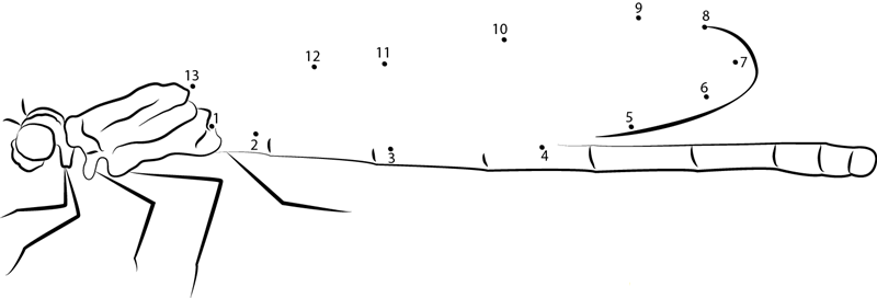 European Dragonfly dot to dot worksheets