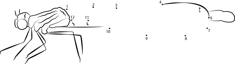 Four Spotted Chaser Dragonfly dot to dot worksheets