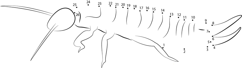 Earwig Mjnjr printable dot to dot worksheet