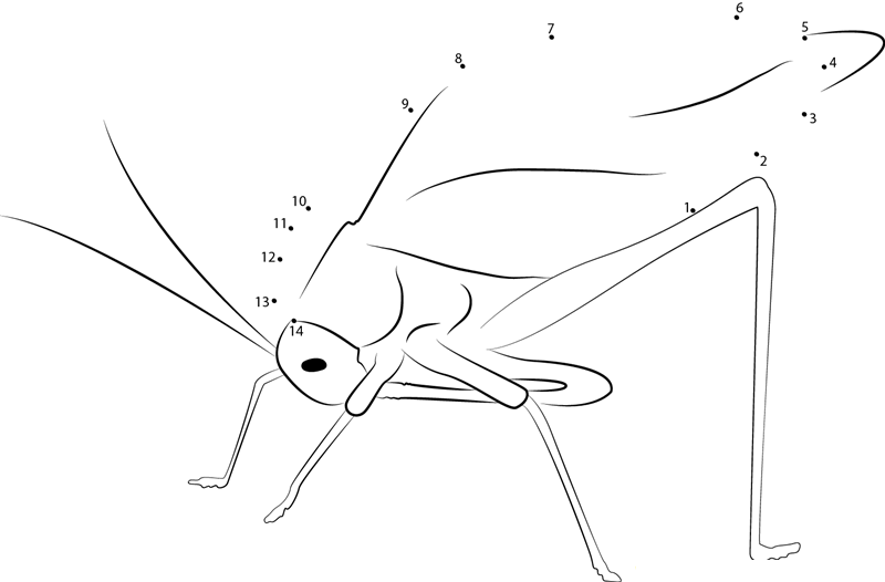 Angry Katydid dot to dot worksheets