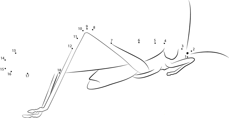 Katydid Zqibj dot to dot worksheets