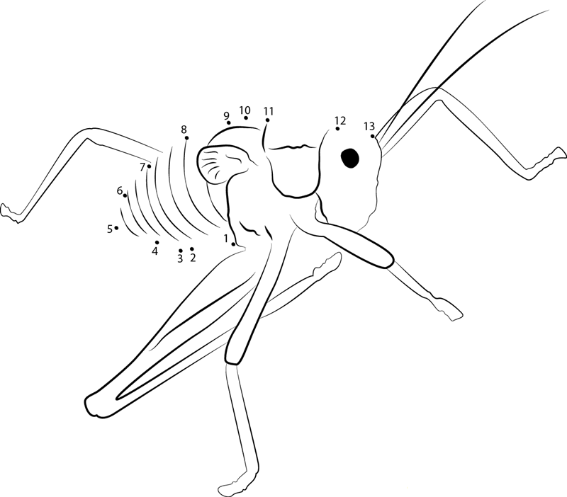 Tettigoniidae Katydid printable dot to dot worksheet