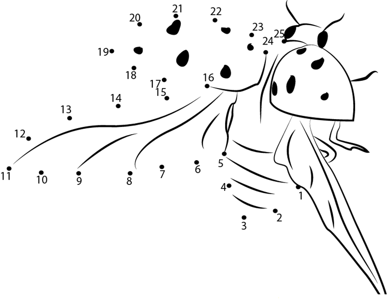 Flying Ladybug printable dot to dot worksheet