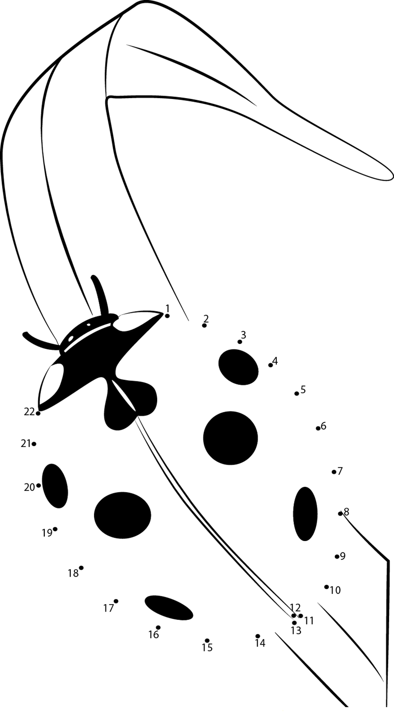 Ldybug dot to dot worksheets