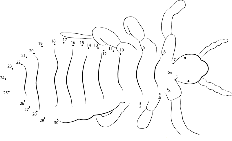 Lice Dimli dot to dot worksheets