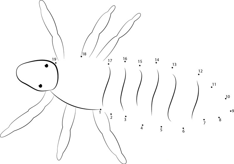 Phthiraptera printable dot to dot worksheet