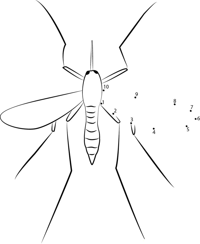 Male Adult Mosquito printable dot to dot worksheet