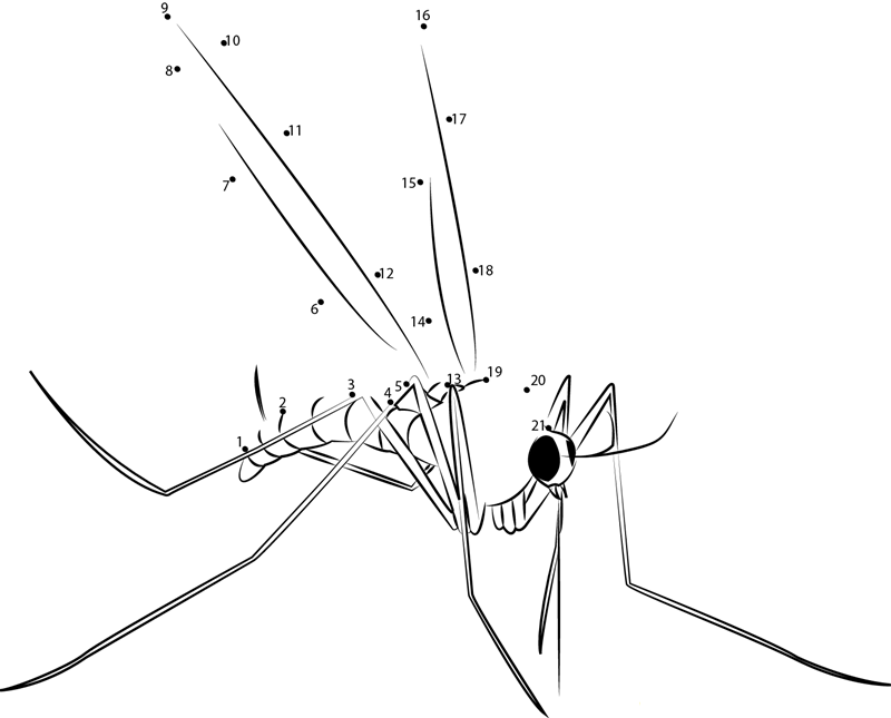 Mosquito printable dot to dot worksheet