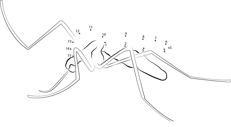 Mosquito Sucking Blood printable dot to dot worksheet