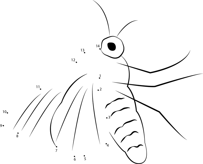 Antheraea Polyphemus printable dot to dot worksheet