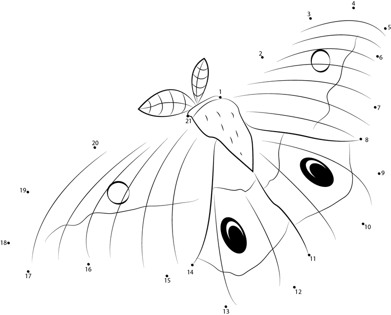 Emperor Gum Moth printable dot to dot worksheet