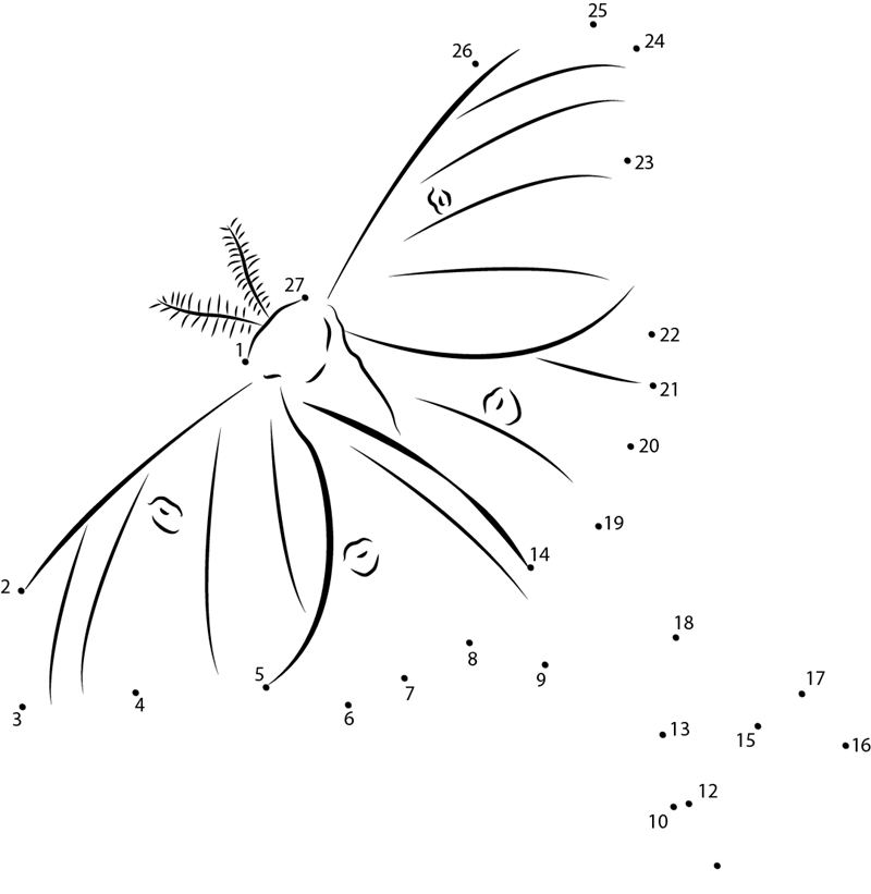 Green Moth printable dot to dot worksheet