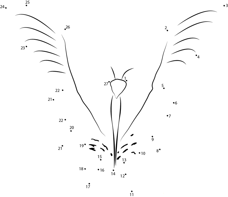 Lime Hawk Moth printable dot to dot worksheet