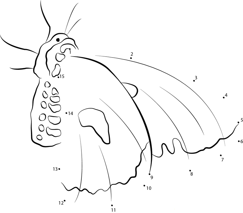 Mysterious Moths printable dot to dot worksheet