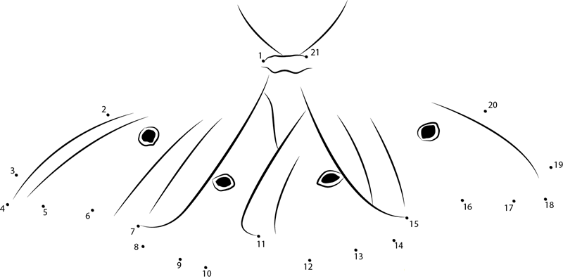 Promethea Moth printable dot to dot worksheet