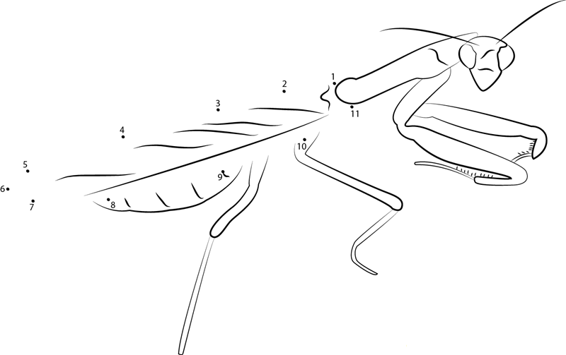 Angry Praying Mantis printable dot to dot worksheet