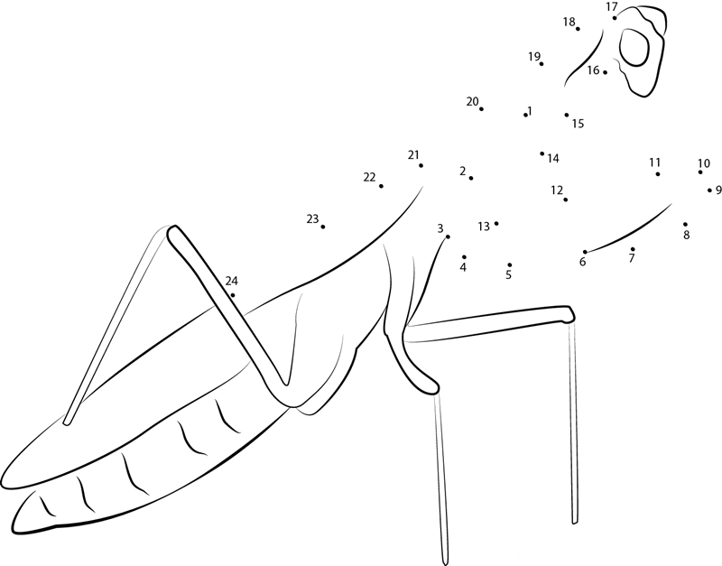 Garden Insect Mantis printable dot to dot worksheet