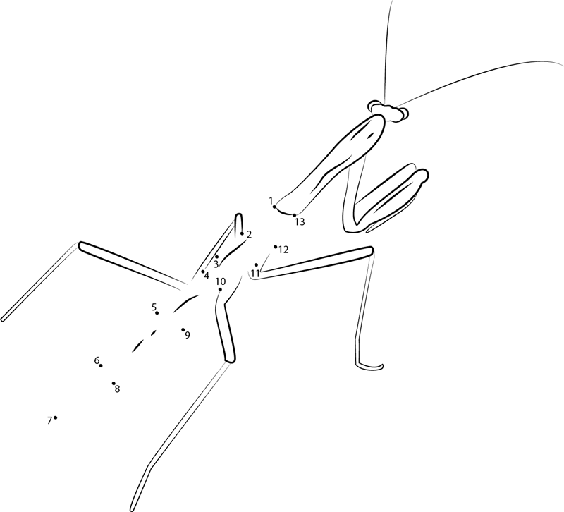 Green Praying Mantis printable dot to dot worksheet