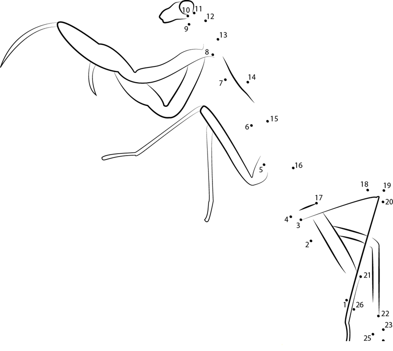 Long Praying Mantis printable dot to dot worksheet