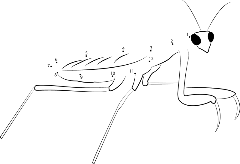 Mantis Looking At Me printable dot to dot worksheet