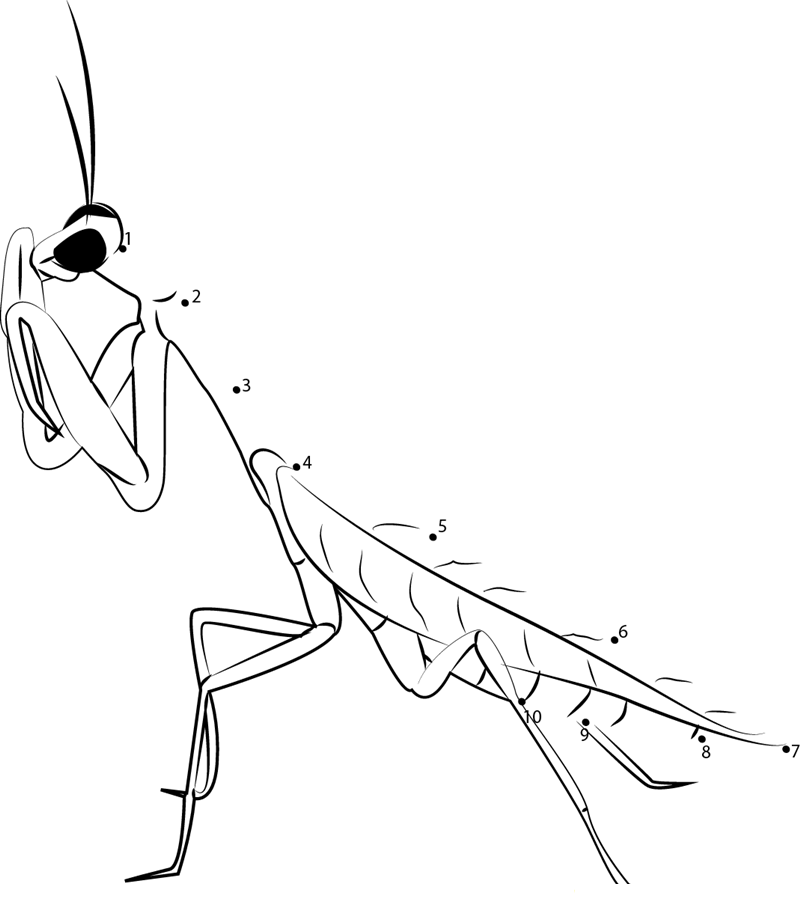 Praying Mantis printable dot to dot worksheet