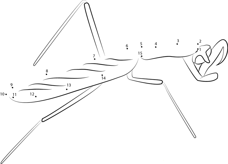 Praying Mantis Eating Insect printable dot to dot worksheet