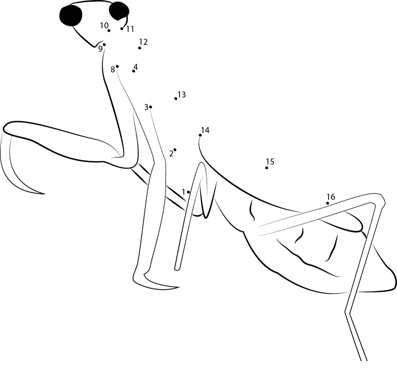 Praying Mantis Mfnrt printable dot to dot worksheet