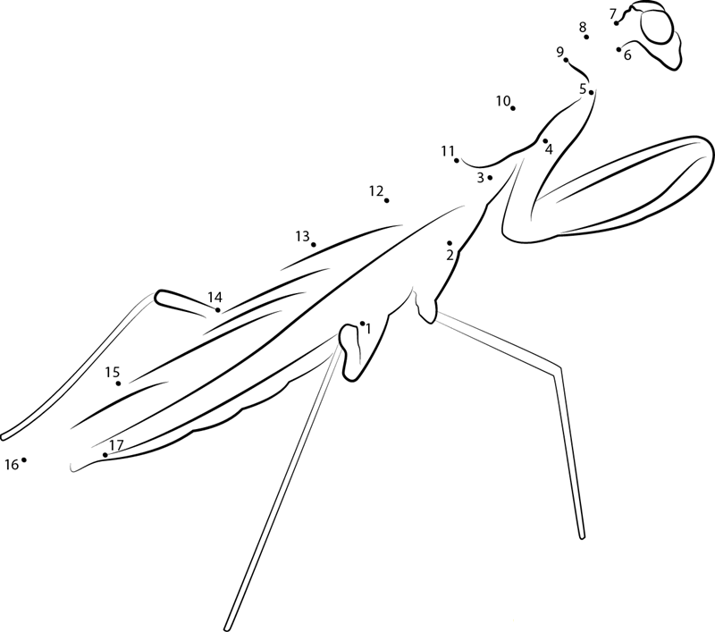 Spiny Praying Mantis printable dot to dot worksheet