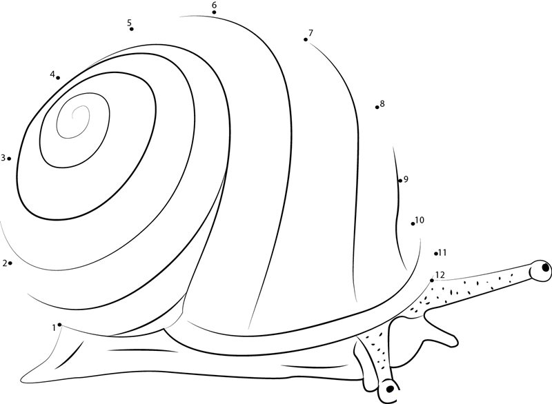 Banded Garden Snail printable dot to dot worksheet