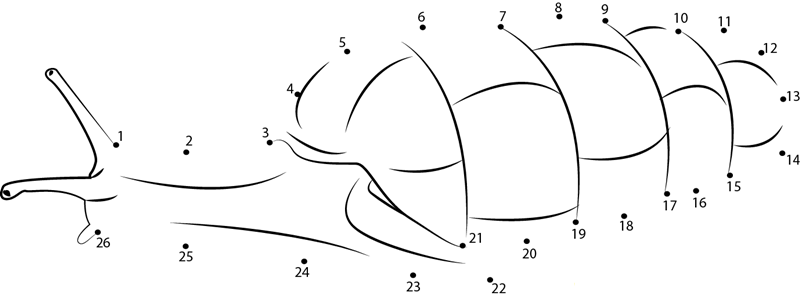 Decollate Snali printable dot to dot worksheet