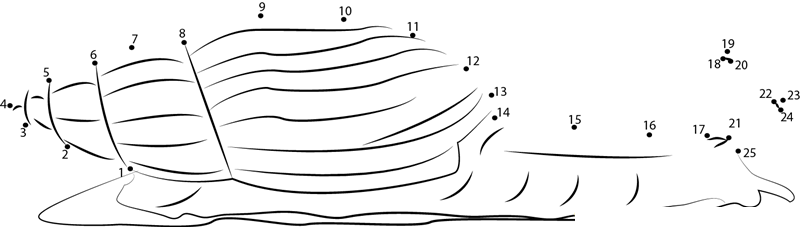 Giant African Snail printable dot to dot worksheet