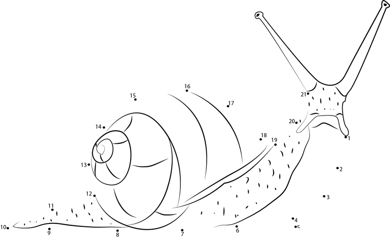 Kahuli Tree Snail printable dot to dot worksheet