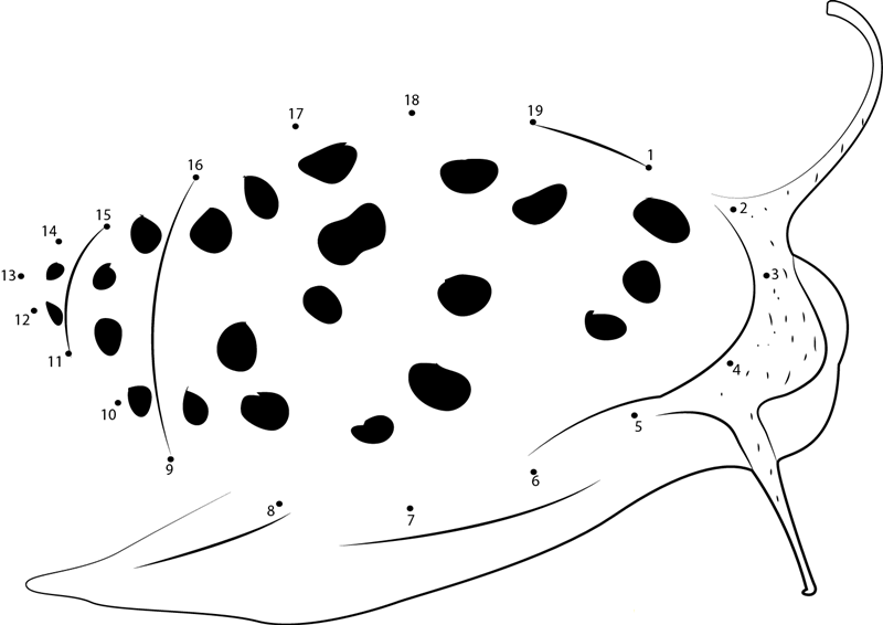 Lunged Snail printable dot to dot worksheet