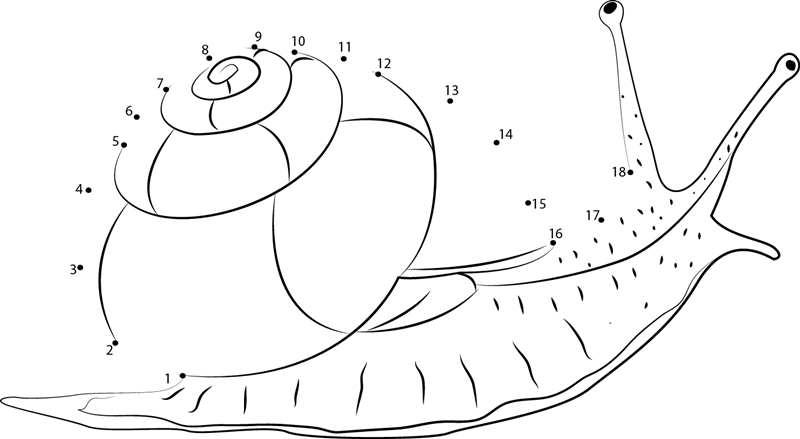 Sell Alive Snail printable dot to dot worksheet