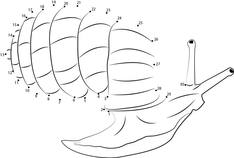 Trumpet Mouthed Hunter Snail printable dot to dot worksheet